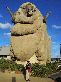 big merino take 2